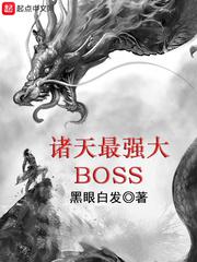 ǿBOSS С˵